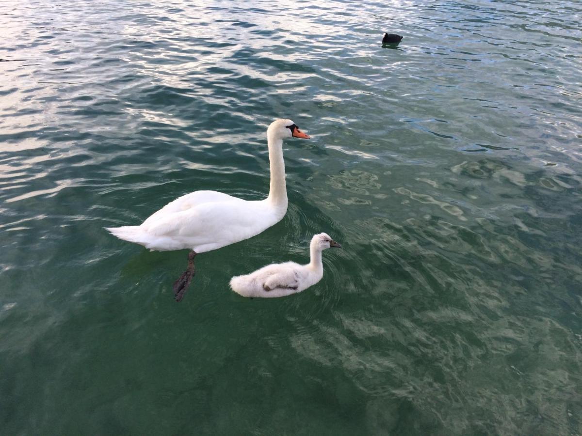 Lac Annecy Plage Privee, Duplex Baie Des Voiles Duingt Εξωτερικό φωτογραφία